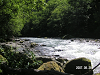 s_PICT0318_thumb.png